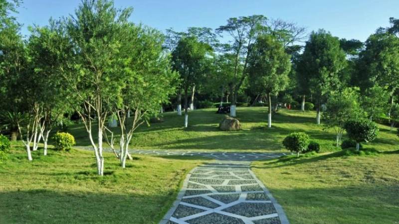 蛋仔派对兑换码怎么获取和使用,常见问题一次讲清